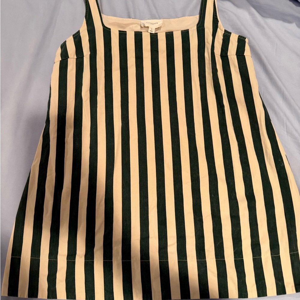 Tuckernuck White and Blue Boxy Mini Tank Dress